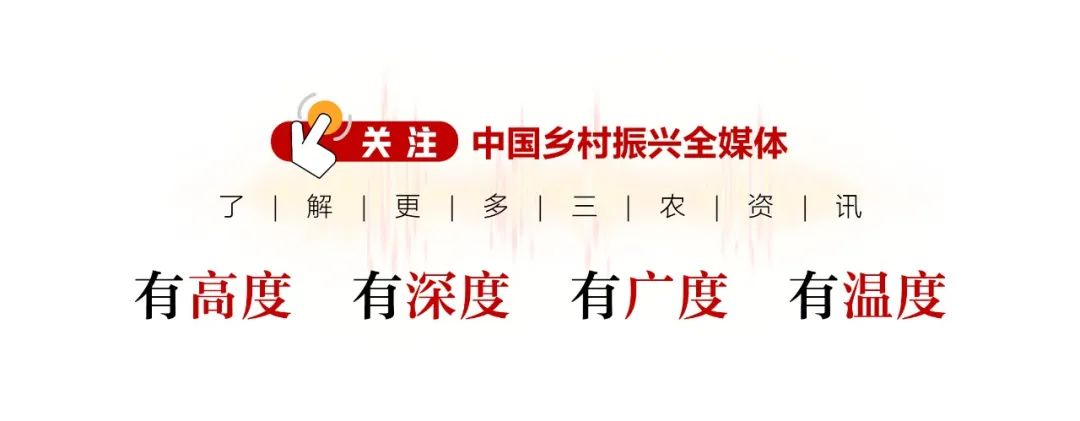 重庆致富带头人_致富采访重庆过去的视频_致富经去重庆采访过吗