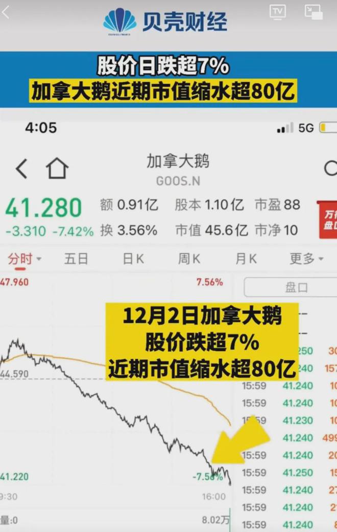 致富经养鹅视频_央视七套致富经养鹅_致富经养鹅真实例子