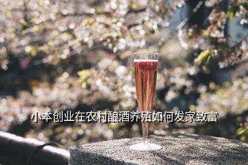 小本创业在农村酿酒养殖如何发家致富