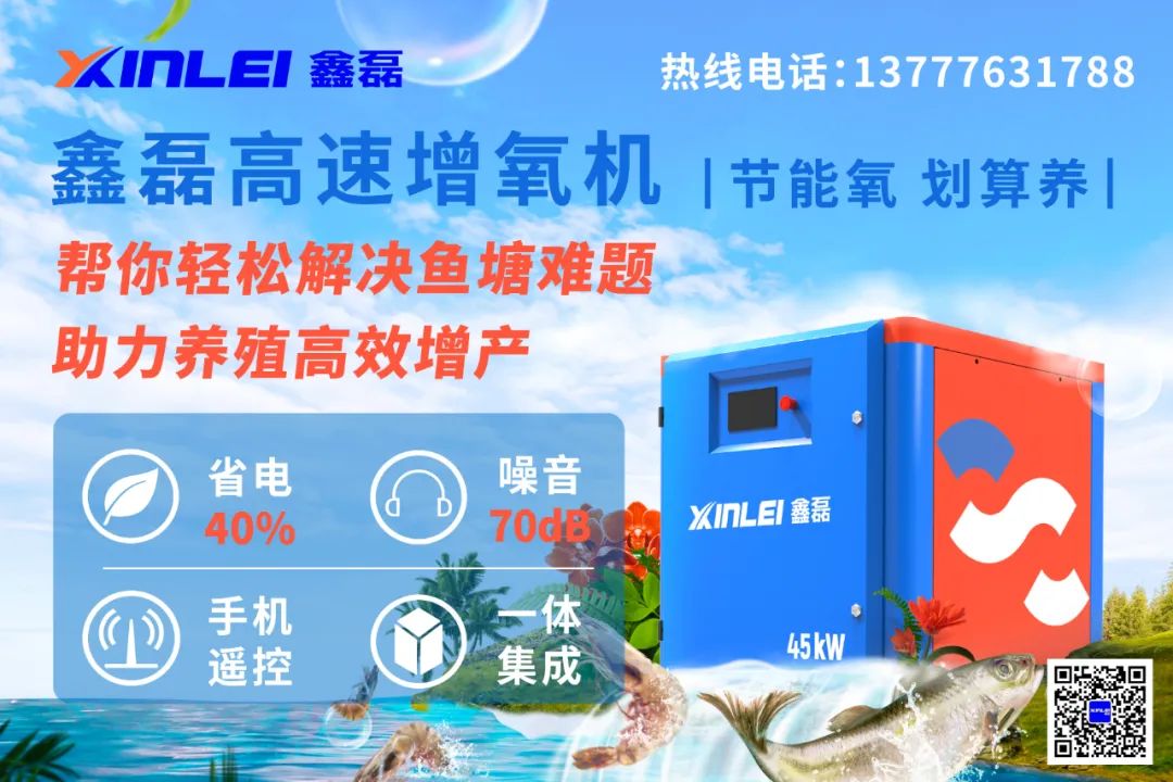 鲤鱼猛涨养殖户抢苗？盲目跟风风险大！草鱼鲫鱼萎靡，3月难涨？