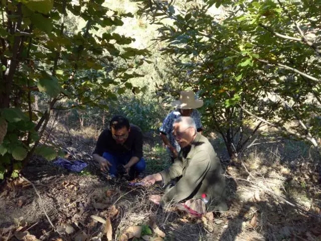 致富之路人工种植_致富之路人工种植_致富之路人工种植