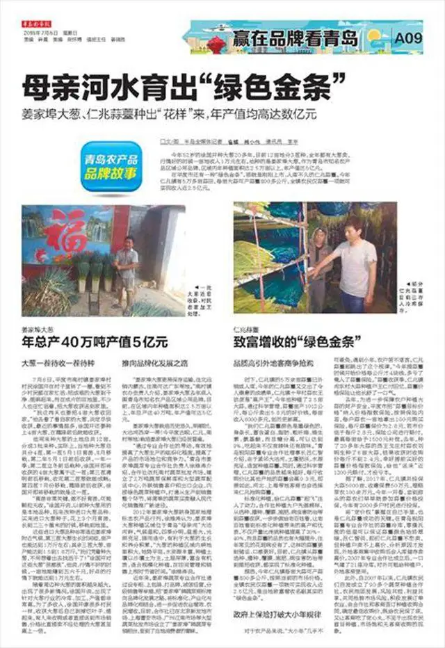 姜家埠大葱、仁兆蒜薹，母亲河水育出“绿色金条”