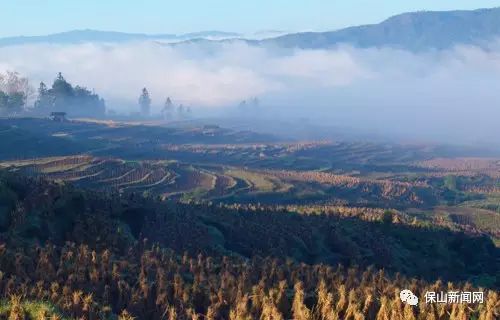 保山致富经_怎样致富致富_保山新闻保山隆阳新闻
