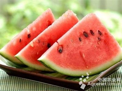 菜市场图片：农民“点菜” 与专家“做菜”