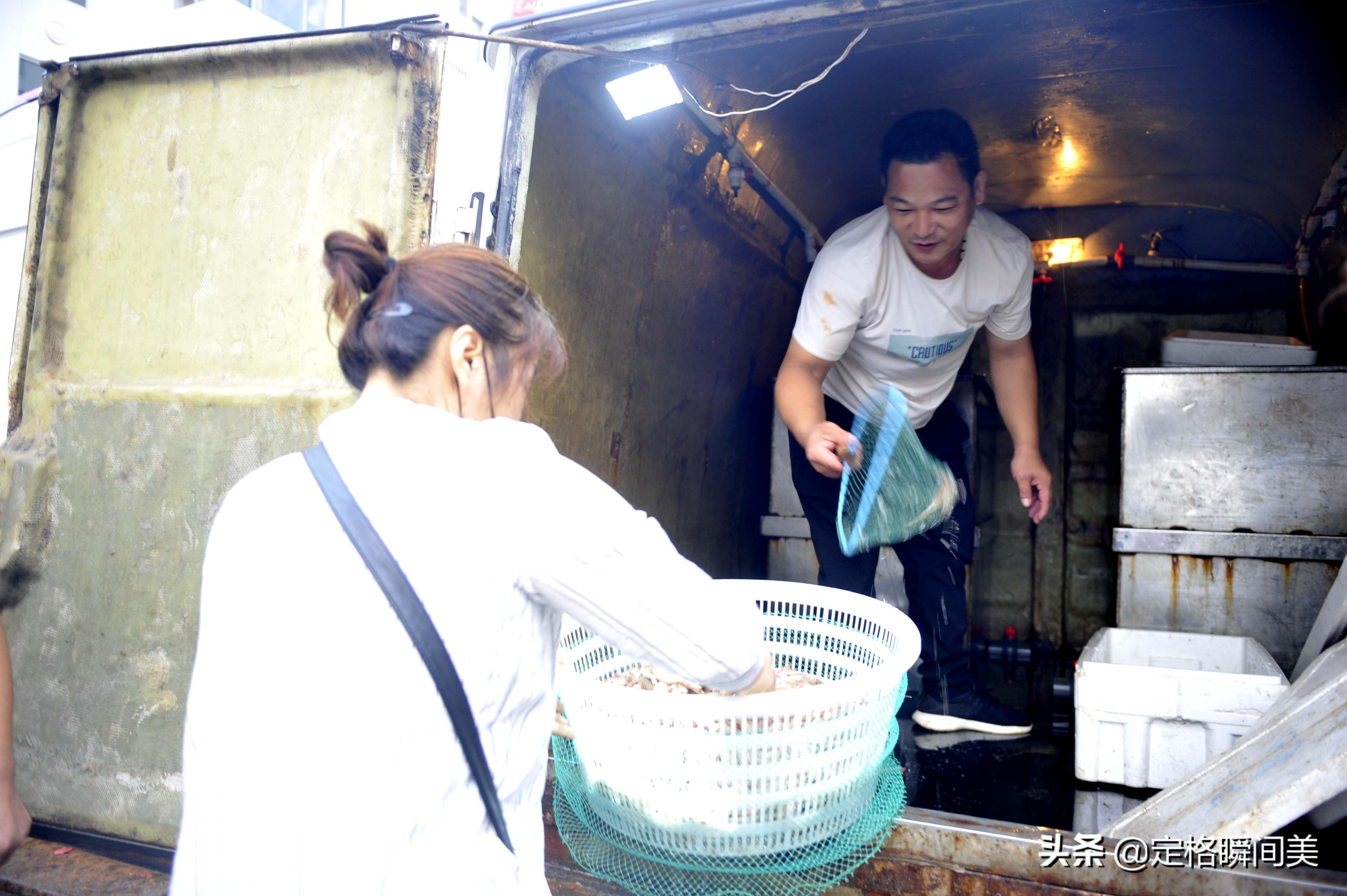 养殖大虾技术要求_大虾养殖_大虾养殖技术